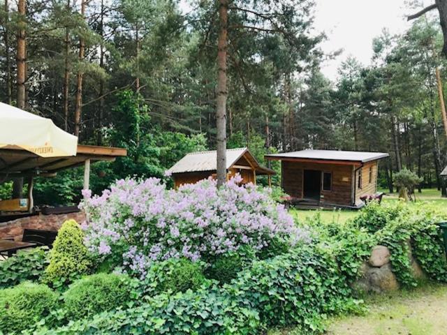 Karczma Nad Szumem Lodge *